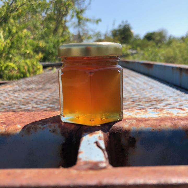 Local Texas Wild Honey